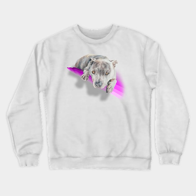 Beautiful blue staffie terrier on a rainbow pink wave! Crewneck Sweatshirt by StudioFluffle